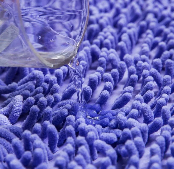 Non-Slip Absorbent Door Mat for Home and Office
